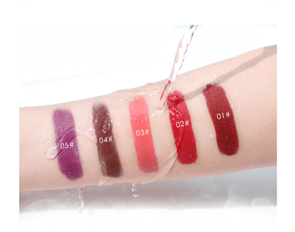 Niceface New Matte Non-Stick Cup Lip Glaze Set With Lip Plumper Texture Lip Gloss