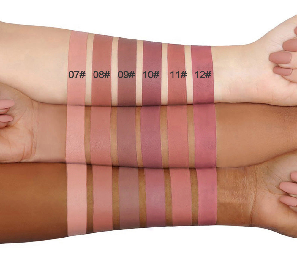 HANDAIYAN Popular Matte Matte Velvet 12 Colors Lip Gloss Liquid Lipstick Lip Glaze