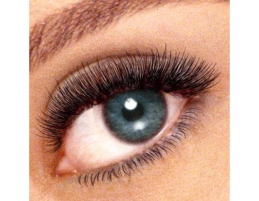 gently 360 Rotating Eyelash Curler Roller Wand Brush spin lash line coat curl lashes brush rotary