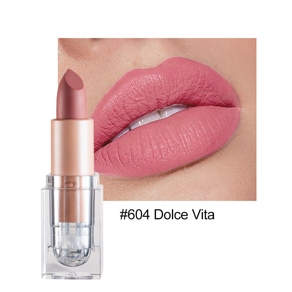 HANDAIYAN Matte Lipstick 12 Color Lipstick Not Easy To Fade Nude Pink Lipstick